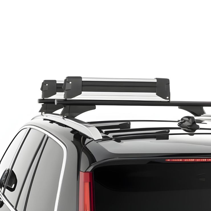 Owen Skiträger Advanced Silber